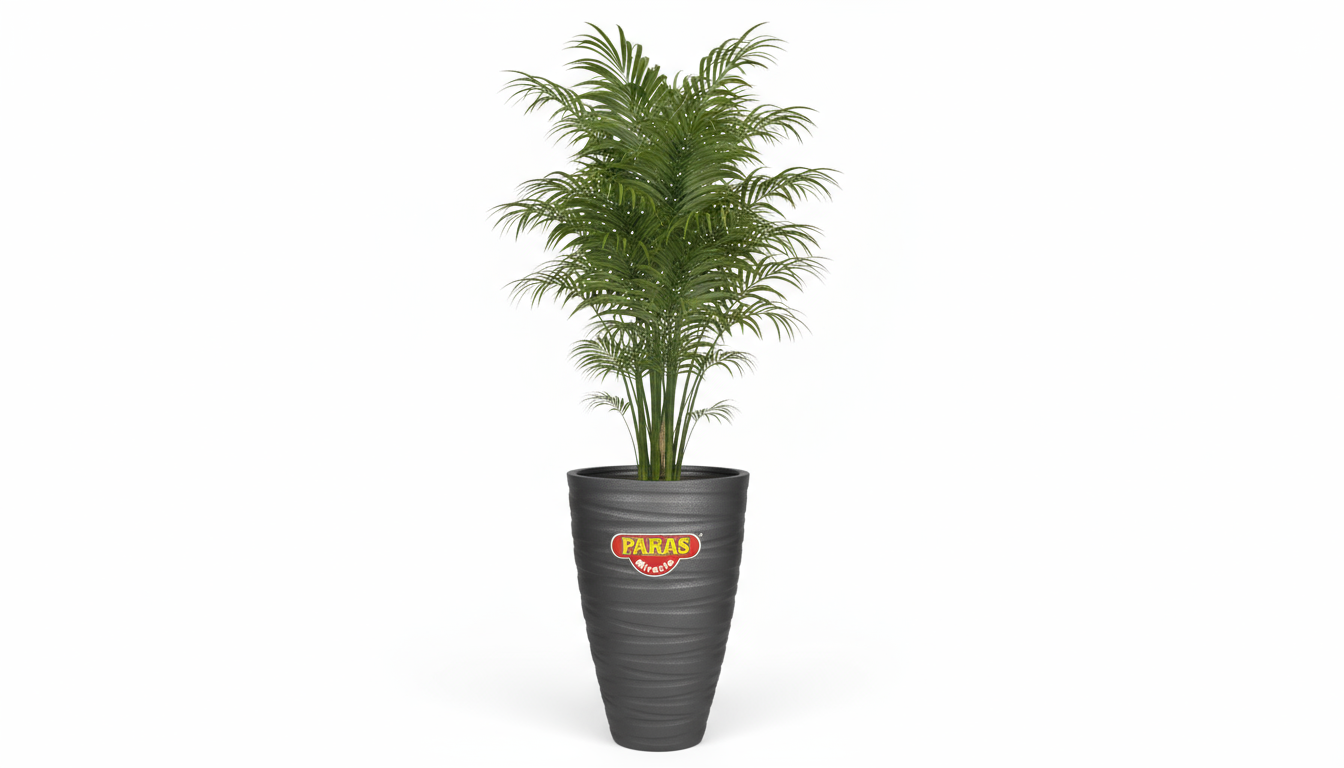 Phoenix Planter - Paras Miracle | Elegant Tapered Vase Planter - Silver, Gold, Platinum