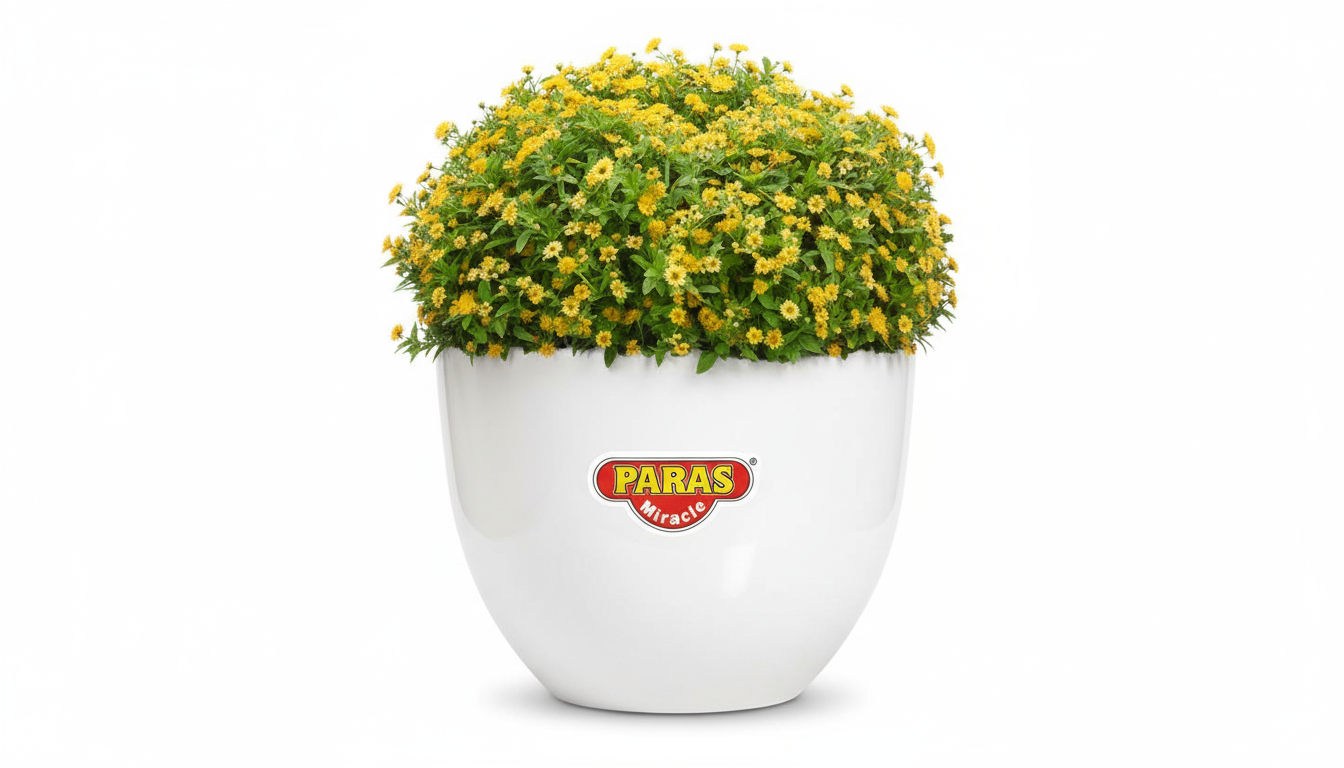 Canary Planter - Paras Miracle | Round Garden Pot - Multiple Sizes & Colors